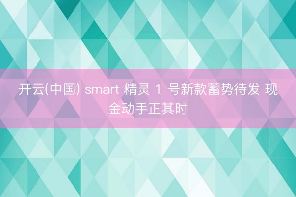 开云(中国) smart 精灵 1 号新款蓄势待发 现金动手正其时