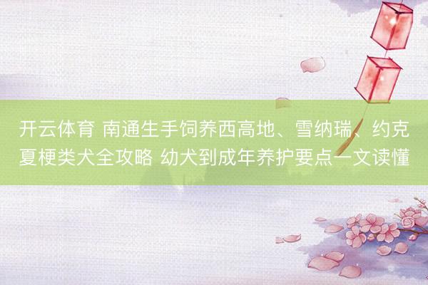 开云体育 南通生手饲养西高地、雪纳瑞、约克夏梗类犬全攻略 幼犬到成年养护要点一文读懂