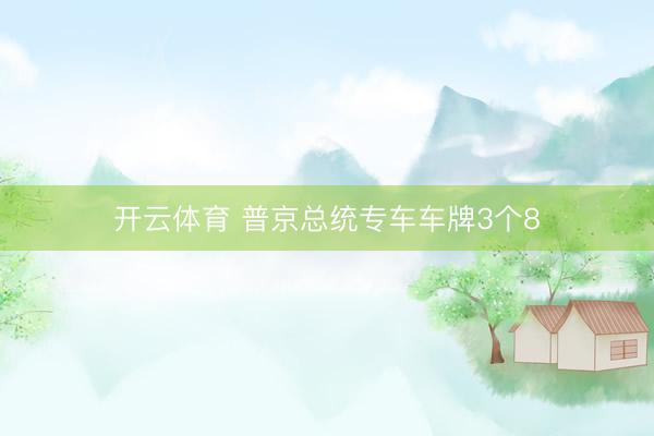 开云体育 普京总统专车车牌3个8