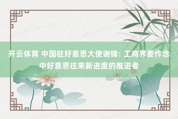 开云体育 中国驻好意思大使谢锋: 工商界要作念中好意思往来新进度的推进者